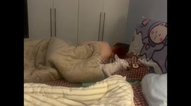 Bull Terrier sleeps snugly under blanket in Beijing, China