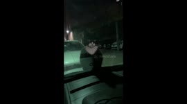 Stray cat refuses to leave car hood in Valence, France