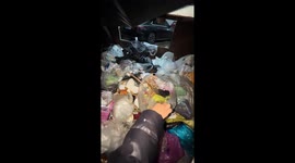 Kind neighbours rescue kittens dumped in rubbish bin in China