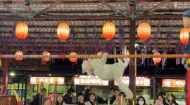 Kittens perform on horizontal pole in Sichuan, China