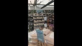 Clever Magpie Discovers Bird Seed Goldmine at Garden Center!