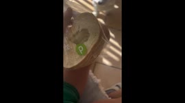 CSI: Kitchen - Bread Bite Investigation