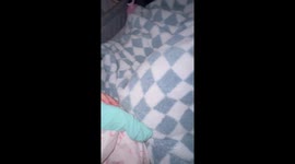 Two cats go viral after beating baby to her own bed
