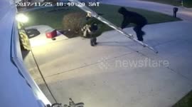 Christmas decoration mishap causes ladder fall in Lima, Ohio, USA