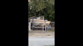 Tiger the Cat Having a Titanic Moment