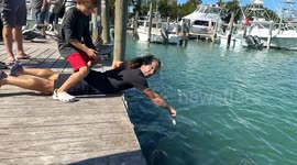 Florida Man Gets Hand EATEN By Tarpon at Robbie's Marina in Florida - IN SLOW MOTION!