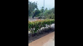 Australia: TC Fina Brings Damaging Winds to Northern Territory