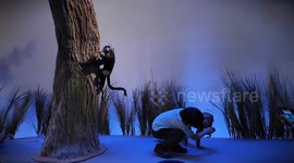 UAE: Abu Dhabi opens Middle East's largest natural history museum