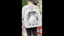 Kitten On The Run: Fluffy Passenger Peeks Out From Backpack Window.