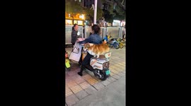 Corgi confidently balancing on scooter in Yunnan, China