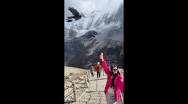 Highland Wind Wins Again!