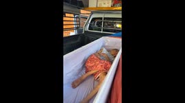 Grandmother wakes up inside coffin seconds before cremation at her own funeral