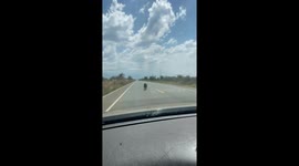Baboon wanders onto highway in Karamoja, Uganda