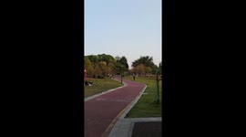 Skate Fails: Domino Effect Pile-Up!