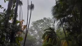 Palm Trees Bend in 140 km/h Winds as Cyclone Fina Batters Darwin