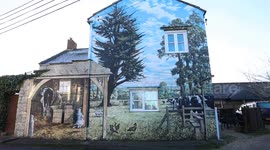 Woman who can't manage to look after a garden gets one painted on her house
