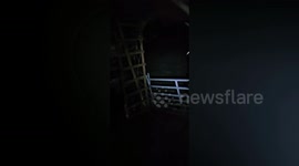 Hilarious moment farmer pranks visitor asking him to shut up high-flying chickens that sleep in the tree