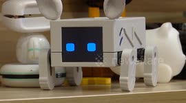 China: China's AI toys draw attention from overseas buyers