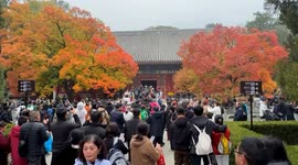 China: Beijing parks, scenic spots cash in on Autumn colors