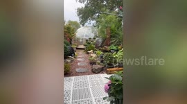 'I spent my 20s building my dream garden instead of going out - I don't regret it'