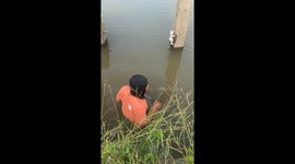 Man rescues drenched kitten from swamp in Bang Bua Thong, Thailand