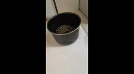 Crabs react in surprise inside a bucket in Jilin, China