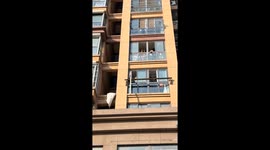 Curious cat supervises neighbor’s retrieval attempt in Jiangsu, China