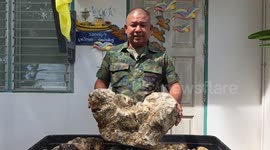 Naval officer shows off huge lump of verified ambergris he is selling for 2.8 million pounds