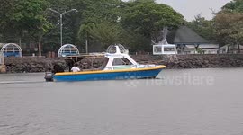 whale shark appears at the Bentar Beach Probolinggo