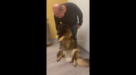 Dog Needs Dad to Hold Her at the Vet