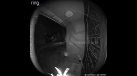 Spider Scared Off by Ring Camera