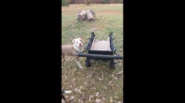 It's Lily's Turn for a Wagon Ride