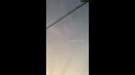 Thousands of Bats Fly Overhead