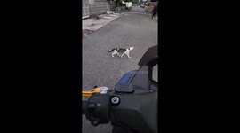 Man Helps to Remove Tin Can From Cat’s Head
