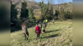 Italy: Helicopter Rescue Frees Horse Trapped In Deep Mud In Italy