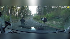 US: DUI Suspect Grabs Deputy Gun During Violent Roadside Struggle