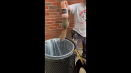 Squirrel Rescue From Milkshake Cup