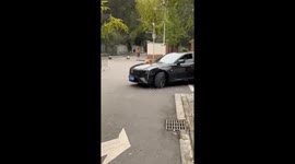 The Kitten’s Unplanned Joyride