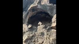 Golden Flower Miracle at Longmen Grottoes