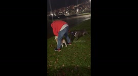Playful dogs cause leash struggle during nighttime walk in Santander, Spain