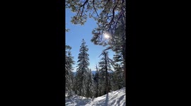 Snow blankets Mt. Pinos Nordic creating stunning winter scene in California, USA