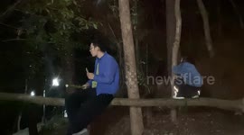 Branch snaps during playful father-daughter moment in Zhejiang, China