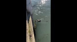 Floating Cradle of Love