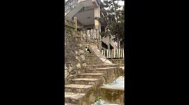 Cat dances strangely before vomiting in Shaanxi, China