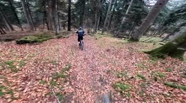 Mountain biker loses control on downhill trail in Bagnères-de-Bigorre, France