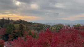 Japan: Autumn Colors Reach Their Peak Across Kyoto, Attracting Visitors 2