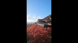 Japan: Autumn Colors Reach Their Peak Across Kyoto, Attracting Visitors 3