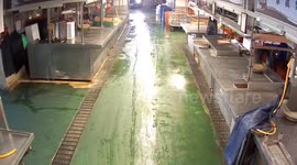 Marketgoer narrowly avoids drenching when sprinklers turn on at market