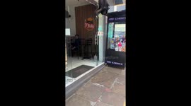 Monkey hangs upside down outside store in São Francisco de Assis, Brazil