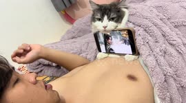Cat becomes cozy phone holder in Guangdong, China